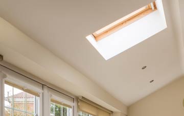 Radlith conservatory roof insulation companies