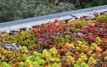 the cost of Radlith green roof installation