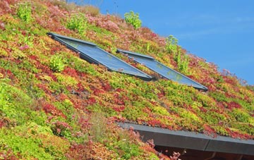 Radlith living roof systems